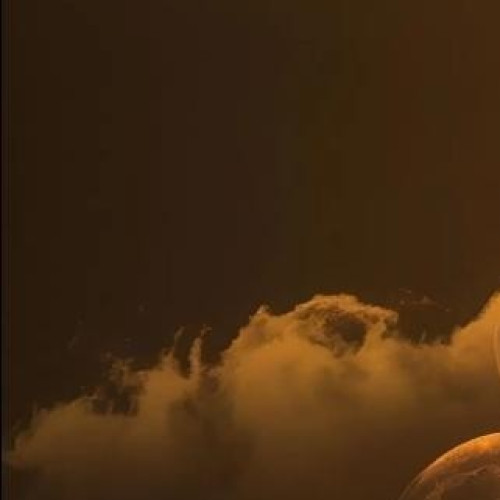 wesley  M. profile photo