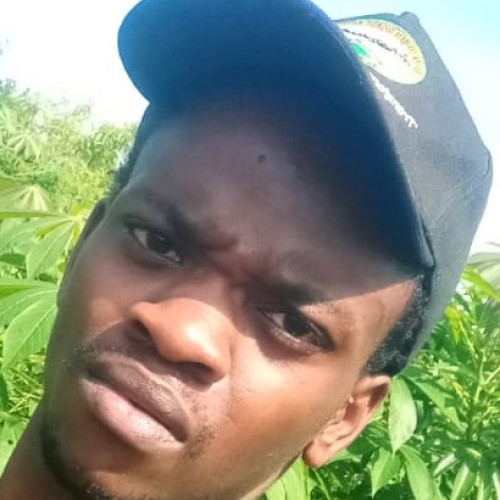 Remmy W. profile photo