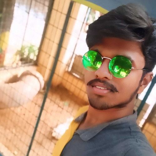 vikram N.