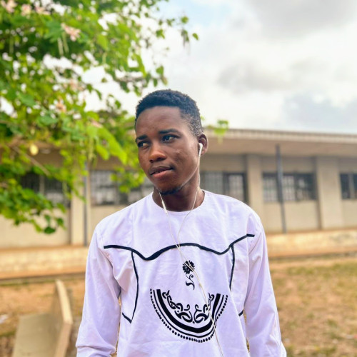 Oluwole  S. profile photo