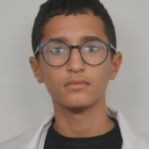 Imad E.