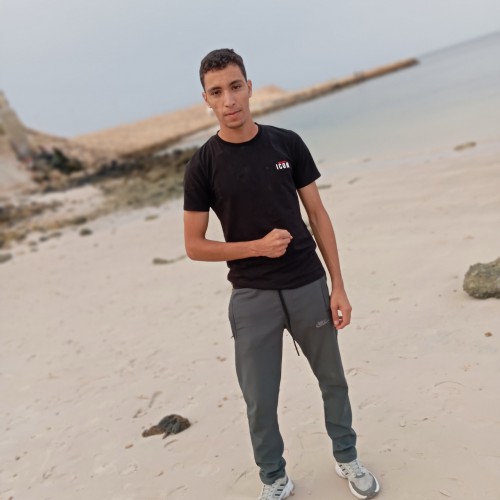 The mehdi D. profile photo