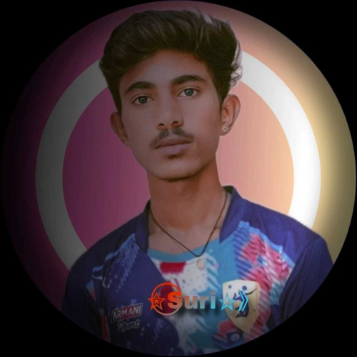 surendra S. profile photo