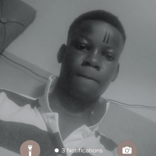 Eniola D. profile photo