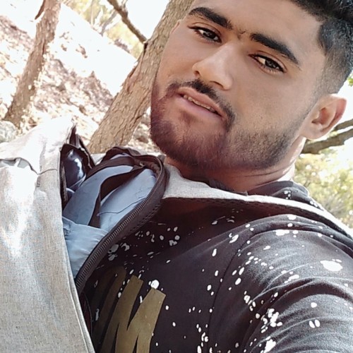 Mounir  L. profile photo