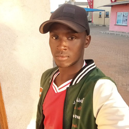 Vincent K. profile photo