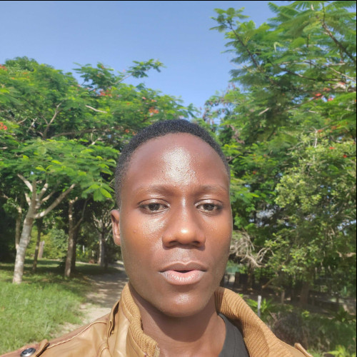 ndesendo j. profile photo