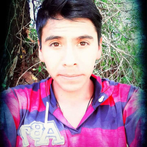 Raúl  T. profile photo