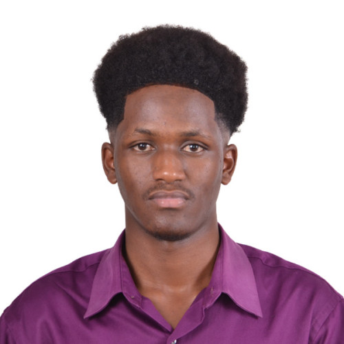 Apollo N. profile photo