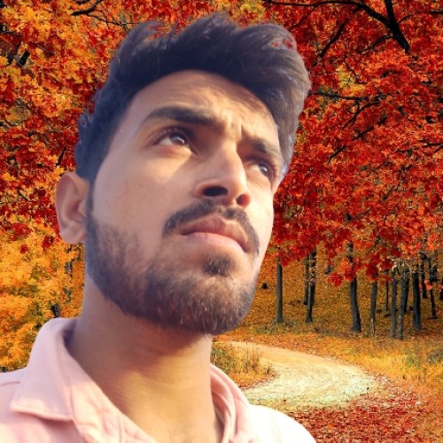 Nirbhay S.