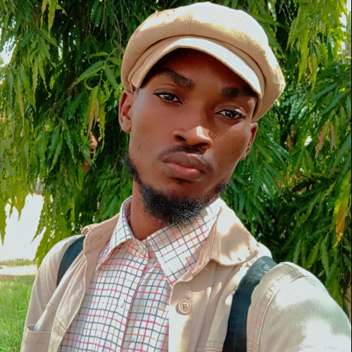 Chiemela N. profile photo