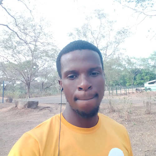 Irukera  T. profile photo