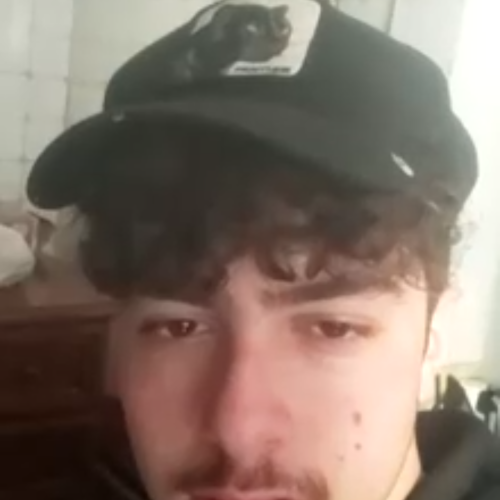Bruno P.