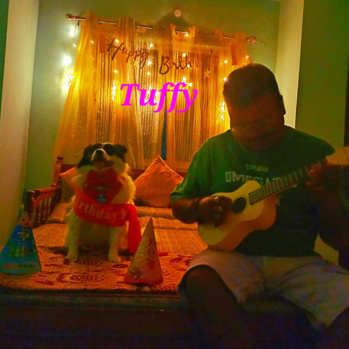 Sudipto S. profile photo