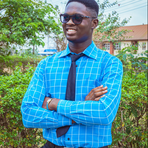Oyeniyi  O. profile photo