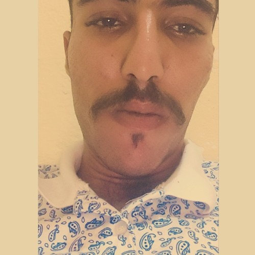 Hamza N.
