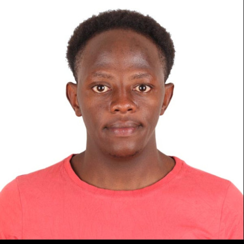 Austin K. profile photo