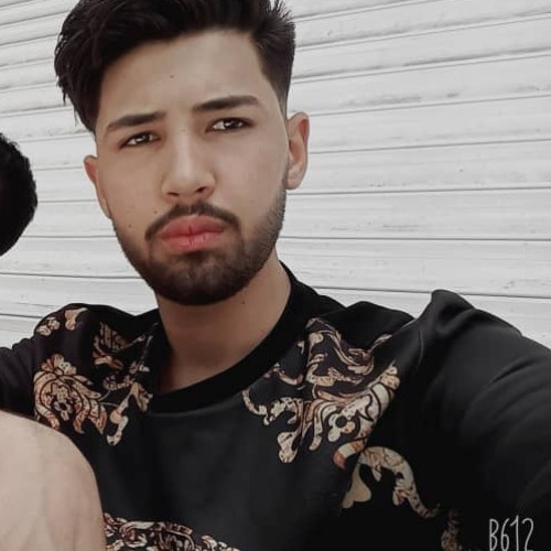 Mohammad  H. profile photo