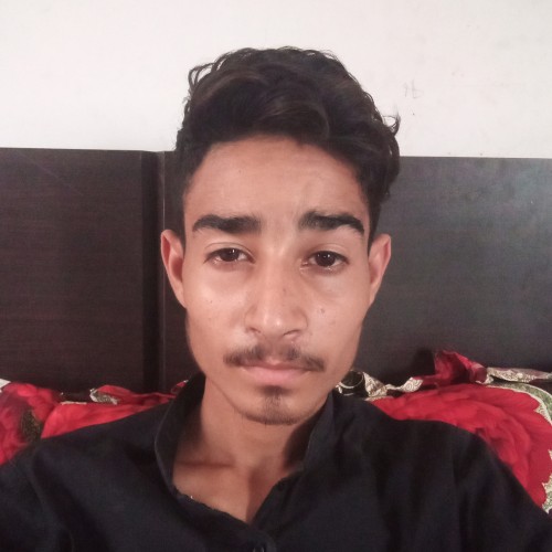 Hasnain  B.