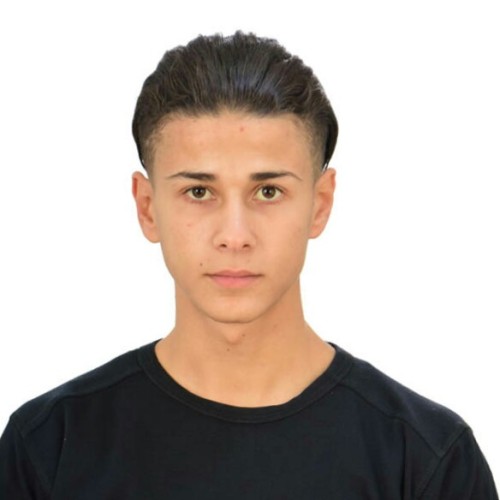 mebarek b.
