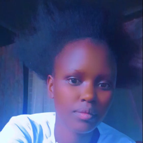 ann n. profile photo