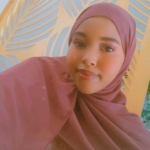 sheyba d.