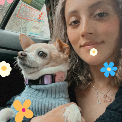 astrid t. profile photo