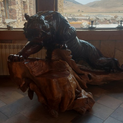 Achraf G. profile photo