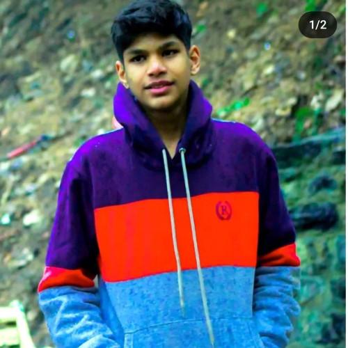Danish  S. profile photo