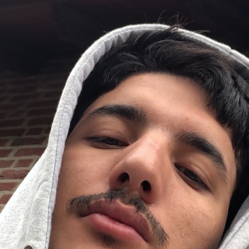 Hamza Z. profile photo