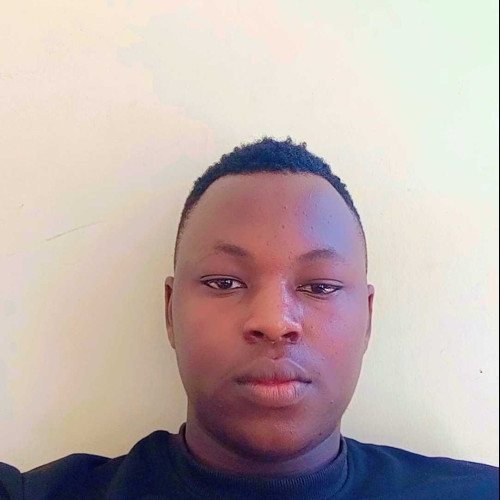 Karim K. profile photo