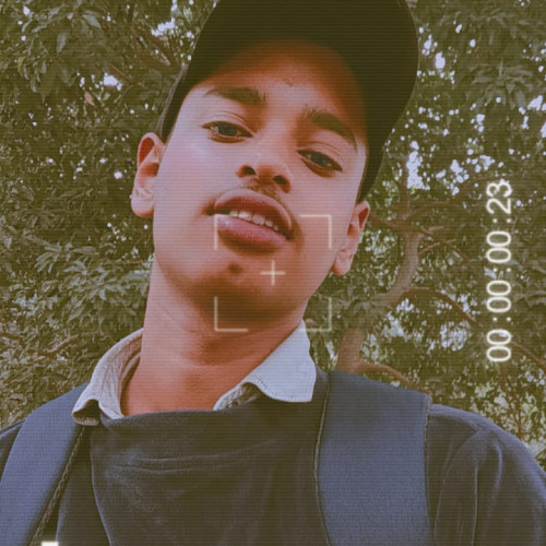 Nikhil T. profile photo