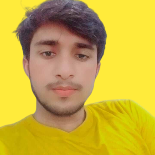 MUHAMMAD N. profile photo