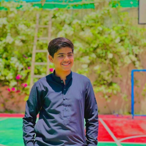 Ali S.