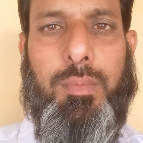 Hafiz Ali Ahmad S.