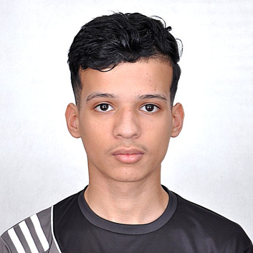 Hamza  A.