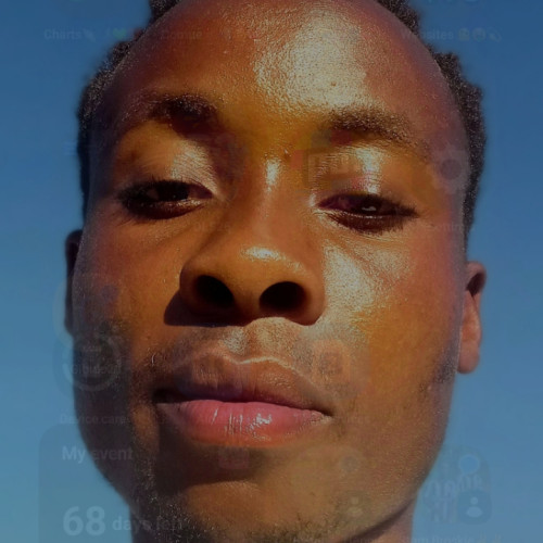 Theo S. profile photo