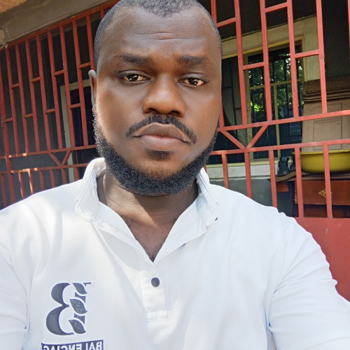 Nwuche  O. profile photo