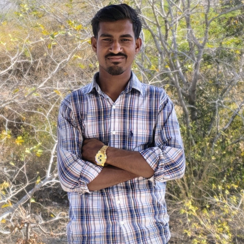 Ravi R. profile photo