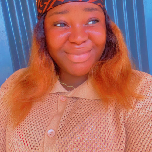 Olawunmi H. profile photo
