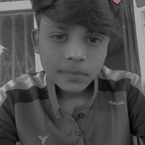 Ayush L. profile photo