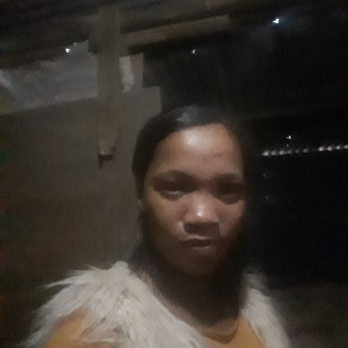 Cedella  B.