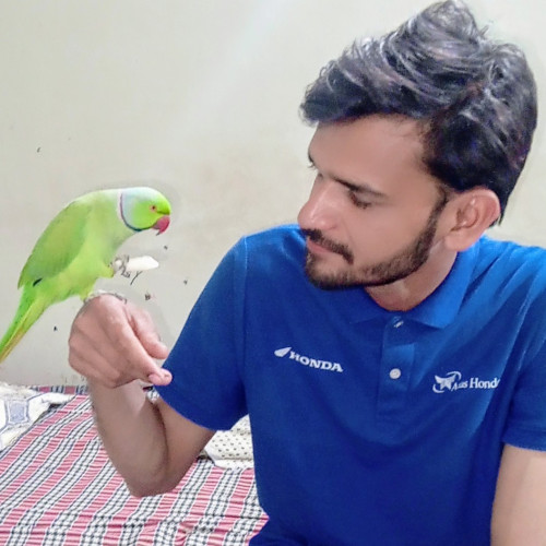 Muhammad S. profile photo