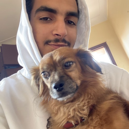 Abdelmoughite E. profile photo