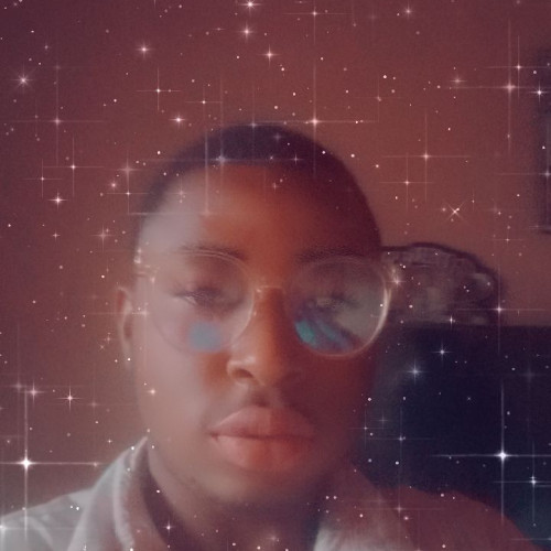 Godswill  S. profile photo
