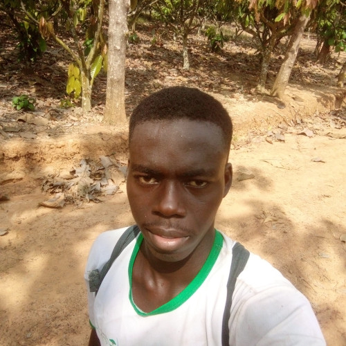 Amani Wilfried  K.