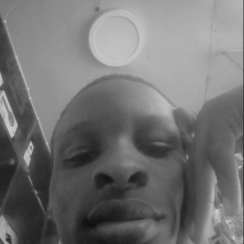 David N. profile photo