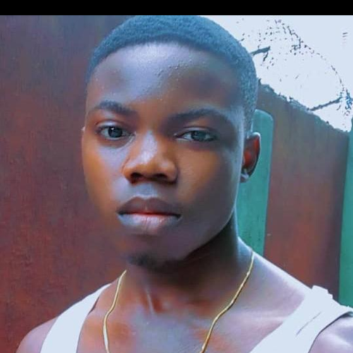 Okwaraocha  W. profile photo