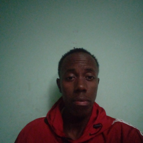 Max M. profile photo