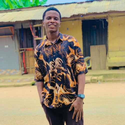 Ikechukwu  O. profile photo